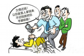 肥西为什么选择专业追讨公司来处理您的债务纠纷？